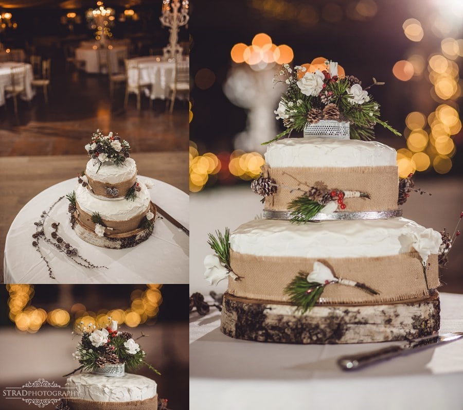 eilidh-ewan-dumfries-house-winter-wedding-photography-ayrshire-103 Dumfries House winter wedding photography Ayrshire, wedding, Scotland, Scottish wedding, winter wedding, December, Ayrshire