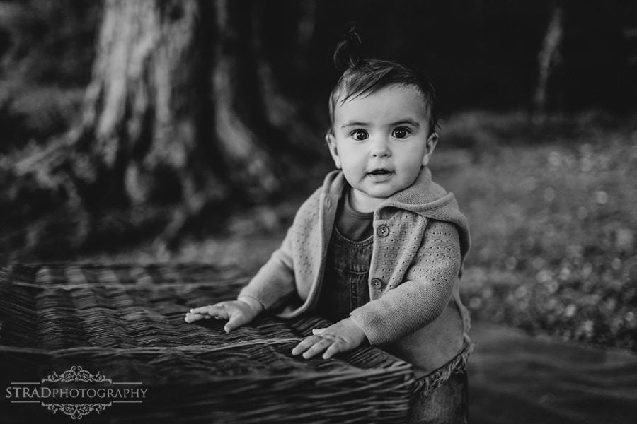 portrait of a little girl