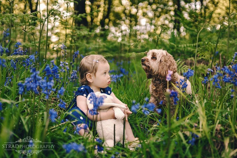 Portrait of a little girl with her dog in the bluebells