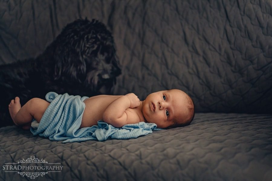 Home lifestyle newborn photoshoot in Glasgow