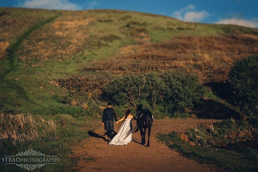 Wedding photographs with horse
