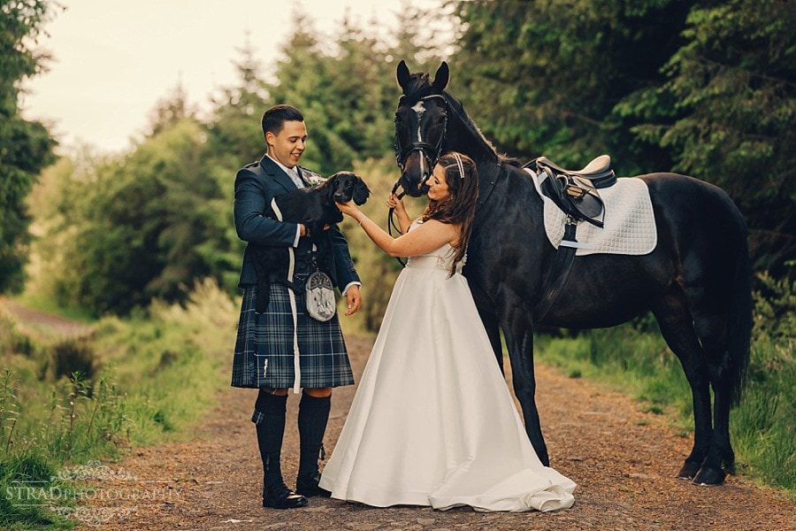 Wedding photographs with horse