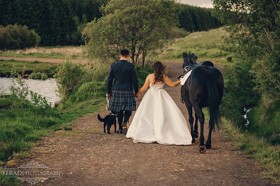Wedding photographs with horse