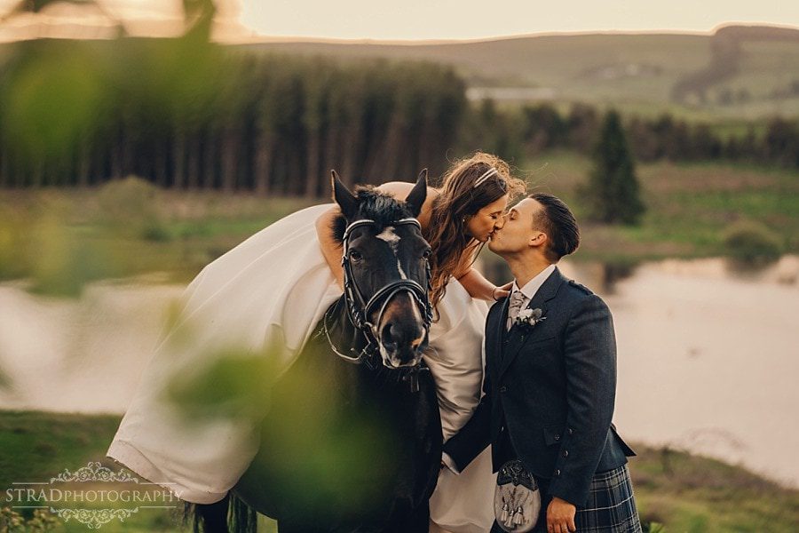 Wedding photographs with horse