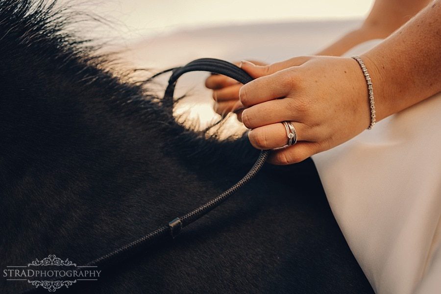 Wedding photographs with horse