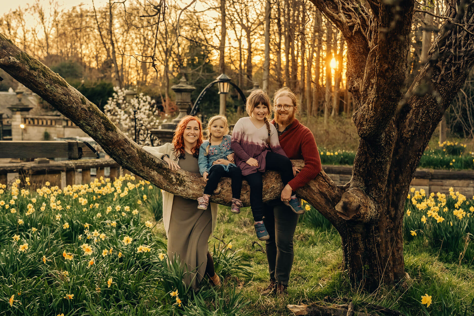 Family gathered around a low tree branch among daffodils in warm evening light