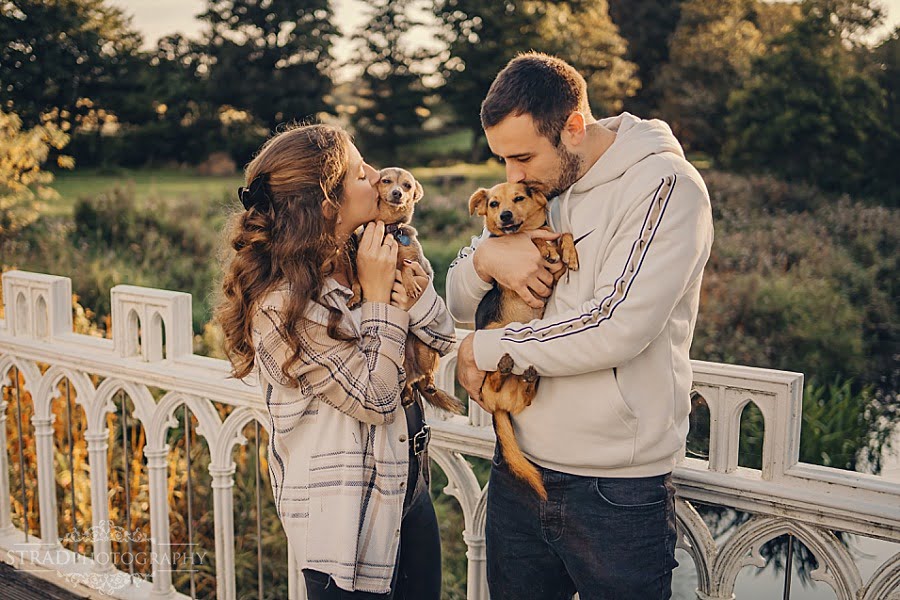Couple with dogs photography Glasgow