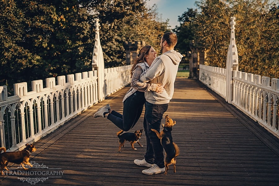 Couple with dogs photography Glasgow